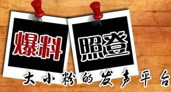 关于新闻爆料,揭秘新闻背后真相 第2张 关于新闻爆料,揭秘新闻背后真相 第2张