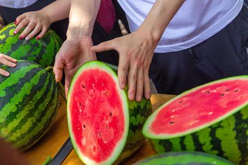 附近免费吃瓜,畅享夏日清凉盛宴 第2张 附近免费吃瓜,畅享夏日清凉盛宴 第2张