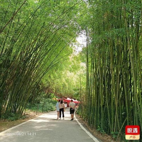 八里沟清凉一夏免费吃瓜,清凉一夏,免费瓜果盛宴来袭! 第3张 八里沟清凉一夏免费吃瓜,清凉一夏,免费瓜果盛宴来袭! 第3张