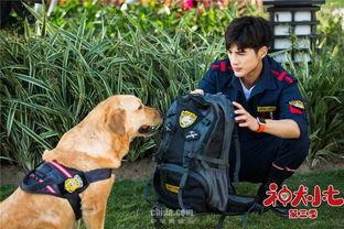 神犬小七第三季在线观看,忠诚守护,再续传奇 第1张 神犬小七第三季在线观看,忠诚守护,再续传奇 第1张