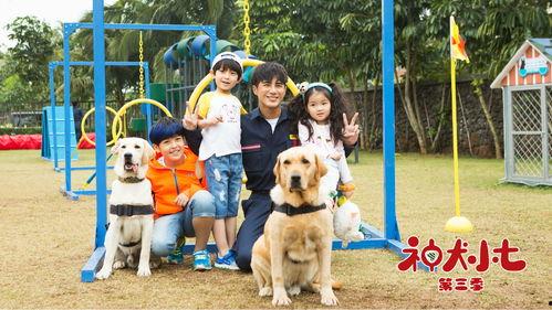 神犬小七第三季在线观看,忠诚守护,再续传奇 第3张 神犬小七第三季在线观看,忠诚守护,再续传奇 第3张