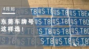 今日莞事爆料官方网站,聚焦东莞最新动态,揭秘城市热点事件 第1张 今日莞事爆料官方网站,聚焦东莞最新动态,揭秘城市热点事件 第1张