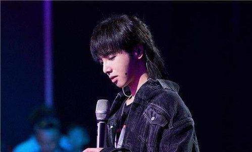 娱乐圈吃瓜华晨宇是谁,娱乐圈吃瓜界的焦点人物  第2张