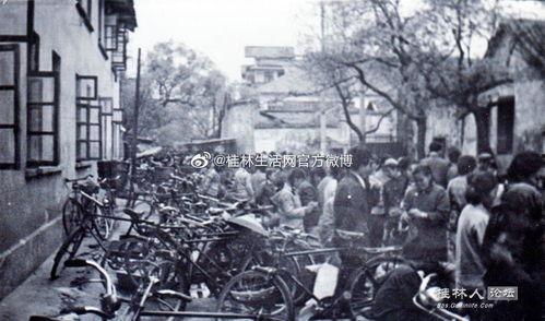 桂林新闻爆料视频今天