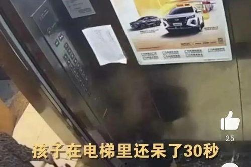 杭州爆料女孩事件视频最新 第3张 杭州爆料女孩事件视频最新 第3张