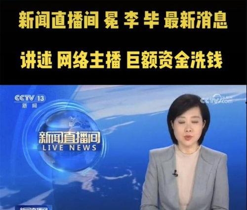 央视新闻爆料王冕视频,揭秘背后惊人内幕 第3张 央视新闻爆料王冕视频,揭秘背后惊人内幕 第3张
