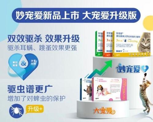 宠物医院最新爆料,宠物健康护理新趋势与常见误区 第3张 宠物医院最新爆料,宠物健康护理新趋势与常见误区 第3张