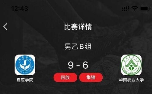 迪拜爆料网赌视频,揭秘网赌视频背后的惊人真相