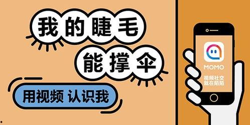 爆料娱乐的文案句子搞笑