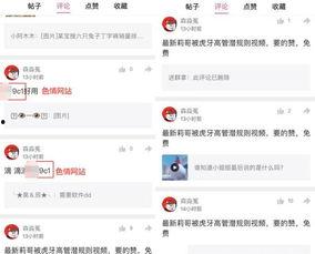 视频爆料规则最新版是什么,全面了解内容规范与责任  第3张