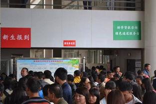 曲靖师范大学爆料新闻,校园内惊现神秘事件,真相令人震惊! 第2张 曲靖师范大学爆料新闻,校园内惊现神秘事件,真相令人震惊! 第2张