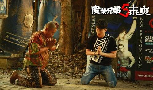 泰爽5在线观看,在线观影，畅享刺激冒险之旅  第3张