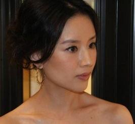 董洁娱乐爆料事件视频大全,揭秘娱乐圈幕后真相  第3张