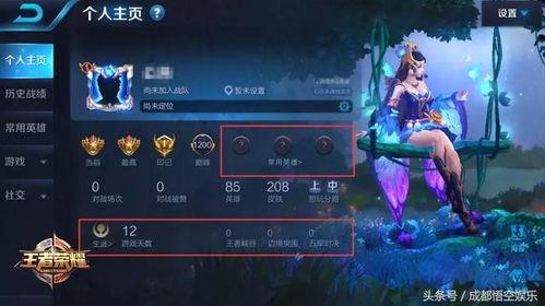 王者预告爆料最新消息,新版本预告来袭，神秘英雄即将登场！  第2张