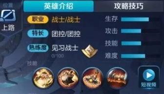 王者预告爆料最新消息,新版本预告来袭，神秘英雄即将登场！  第3张