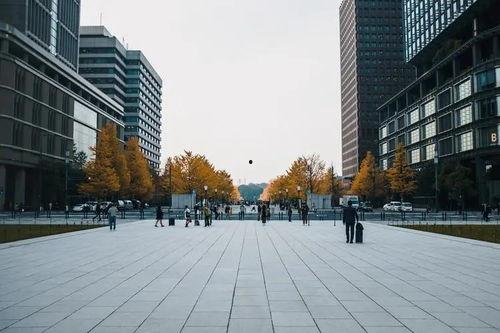 美江尚书府最新爆料消息,揭秘神秘家族背后的惊人真相 第3张 美江尚书府最新爆料消息,揭秘神秘家族背后的惊人真相 第3张