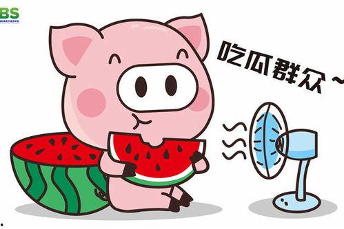 娱乐吃瓜酱好运,揭秘明星幕后故事，带你领略娱乐圈的神秘魅力  第1张