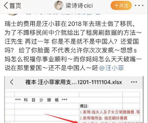 汪小菲爆料清单最新视频,揭秘清单背后的惊人真相  第1张