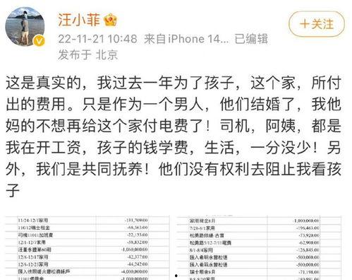 汪小菲爆料清单最新视频,揭秘清单背后的惊人真相  第2张