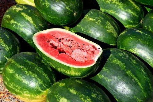 五一免费吃瓜视频观看下载,海量视频观看下载攻略 第3张 五一免费吃瓜视频观看下载,海量视频观看下载攻略 第3张