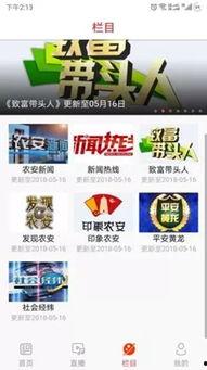 农安新闻爆料,揭秘当地农业发展新动态 第1张 农安新闻爆料,揭秘当地农业发展新动态 第1张