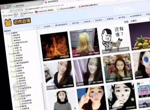 成人免费视频在线观看 第3张 成人免费视频在线观看 第3张