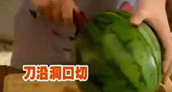 爆料西瓜大哥视频大全,揭秘网络红人的魅力瞬间