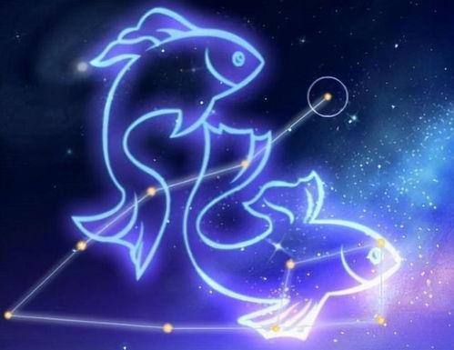 双鱼座最新爆料,揭秘星座背后的神秘力量  第2张