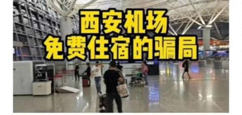 演员爆料机场视频,真实生活与粉丝印象大揭秘  第2张