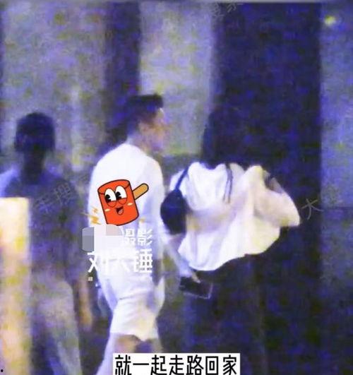 汪小菲崩溃爆料视频,揭秘背后真相与情感纠葛  第2张