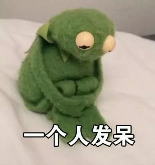 搞笑网红青蛙吃瓜,笑料横生,网红搞笑瞬间大揭秘! 第2张 搞笑网红青蛙吃瓜,笑料横生,网红搞笑瞬间大揭秘! 第2张