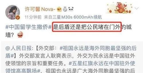 许可馨最新消息爆料,揭露惊人内幕,引发社会热议 第2张 许可馨最新消息爆料,揭露惊人内幕,引发社会热议 第2张