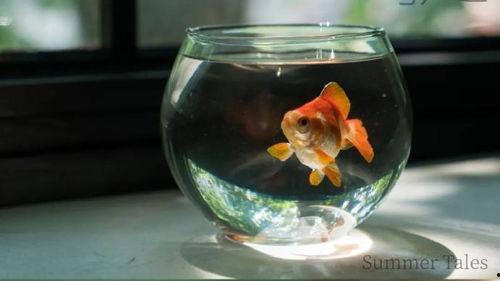 澎湃新闻敢真实爆料,揭秘真实事件,勇敢发声,坚守新闻底线 第2张 澎湃新闻敢真实爆料,揭秘真实事件,勇敢发声,坚守新闻底线 第2张