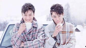 圈内爆料远赴相思cp,揭秘明星情侣的甜蜜旅程