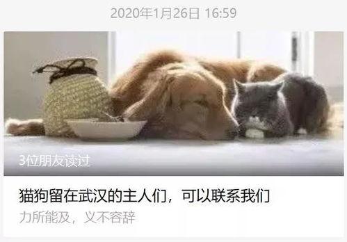 武汉宠物爆料事件视频播放 第3张 武汉宠物爆料事件视频播放 第3张