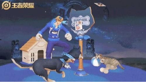 大乔猫狗爆料视频大全,趣味宠物瞬间集结 第1张 大乔猫狗爆料视频大全,趣味宠物瞬间集结 第1张