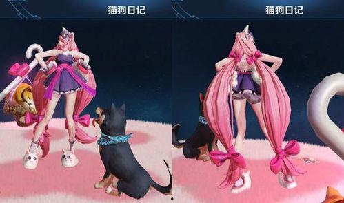 大乔猫狗爆料视频大全,趣味宠物瞬间集结 第2张 大乔猫狗爆料视频大全,趣味宠物瞬间集结 第2张