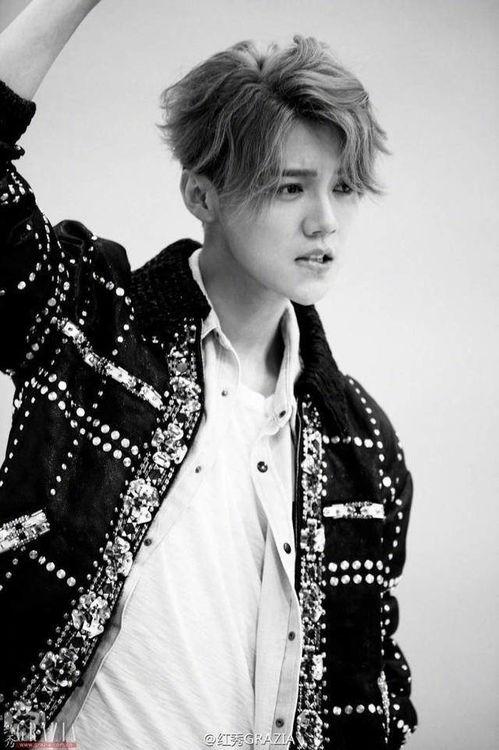 娱乐吃瓜猫鹿晗,娱乐吃瓜猫的时尚之旅  第2张