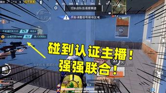 陈大白游戏爆料视频,揭秘幕后精彩瞬间  第2张