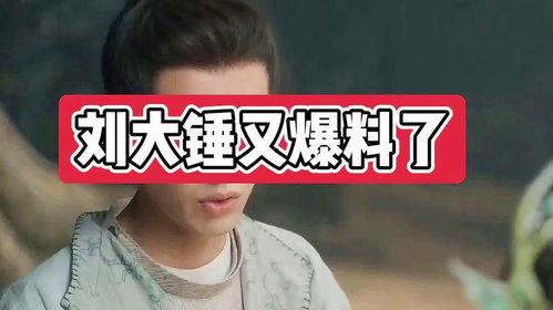 刘大锤爆料最新视频全集,精彩瞬间一网打尽  第3张