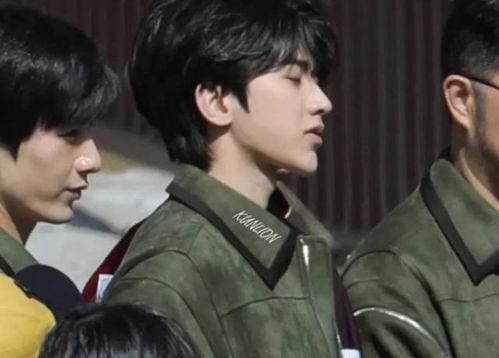 成毅老家爆料视频大全集,揭秘明星背后的家乡故事  第2张