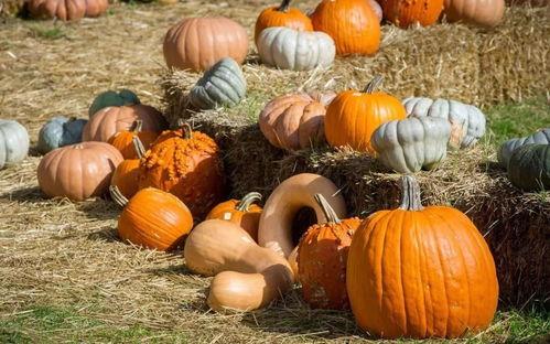 免费吃瓜全家桶,揭秘娱乐圈幕后真相 第3张 免费吃瓜全家桶,揭秘娱乐圈幕后真相 第3张