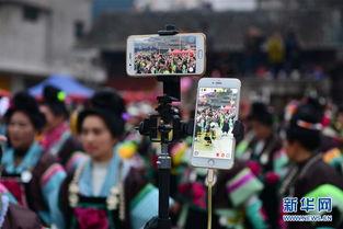 乡9全集手机在线观看,在线观看，重温经典农村生活画卷  第2张