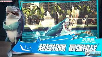 饥饿鲨世界最新版爆料,全新版本揭秘，海洋探险再升级！  第3张