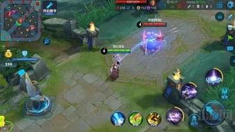 伽罗新英雄最新爆料图片  第1张