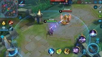 伽罗新英雄最新爆料图片  第2张