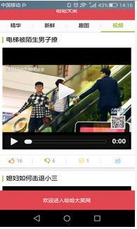 爆料新鲜视频大全最新网站 第2张 爆料新鲜视频大全最新网站 第2张