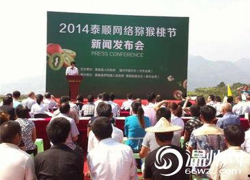 泰顺新闻爆料电话