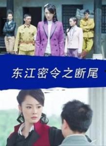 东江密令在线观看,揭秘神秘任务背后的惊心动魄