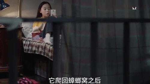 爆料小孩姐姐视频大全在线观看,小孩姐姐视频大全在线观看全解析